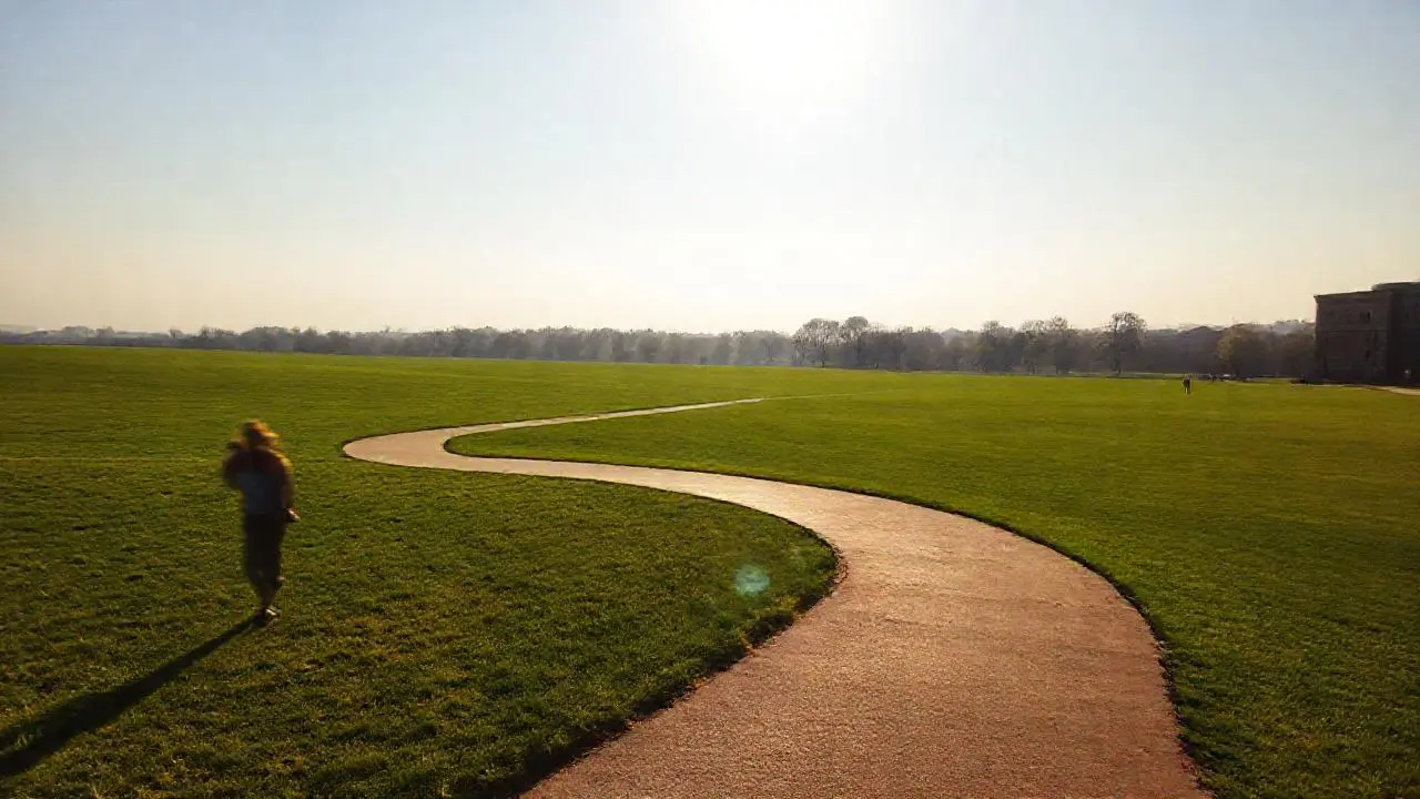 Escena tranquila y natural, llena de luz