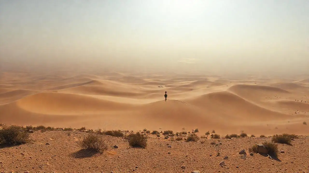 Desierto vasto, silencioso y lejano