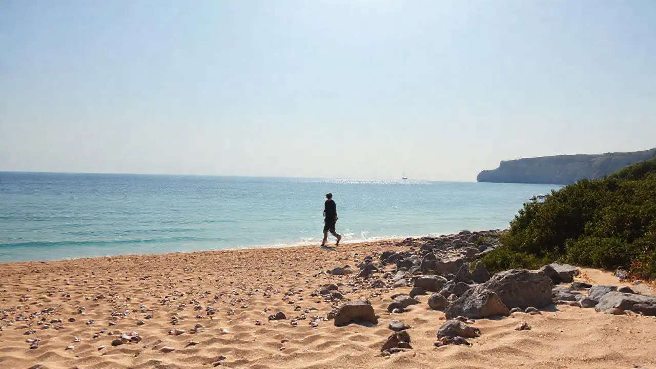 Paisaje costero sereno y natural