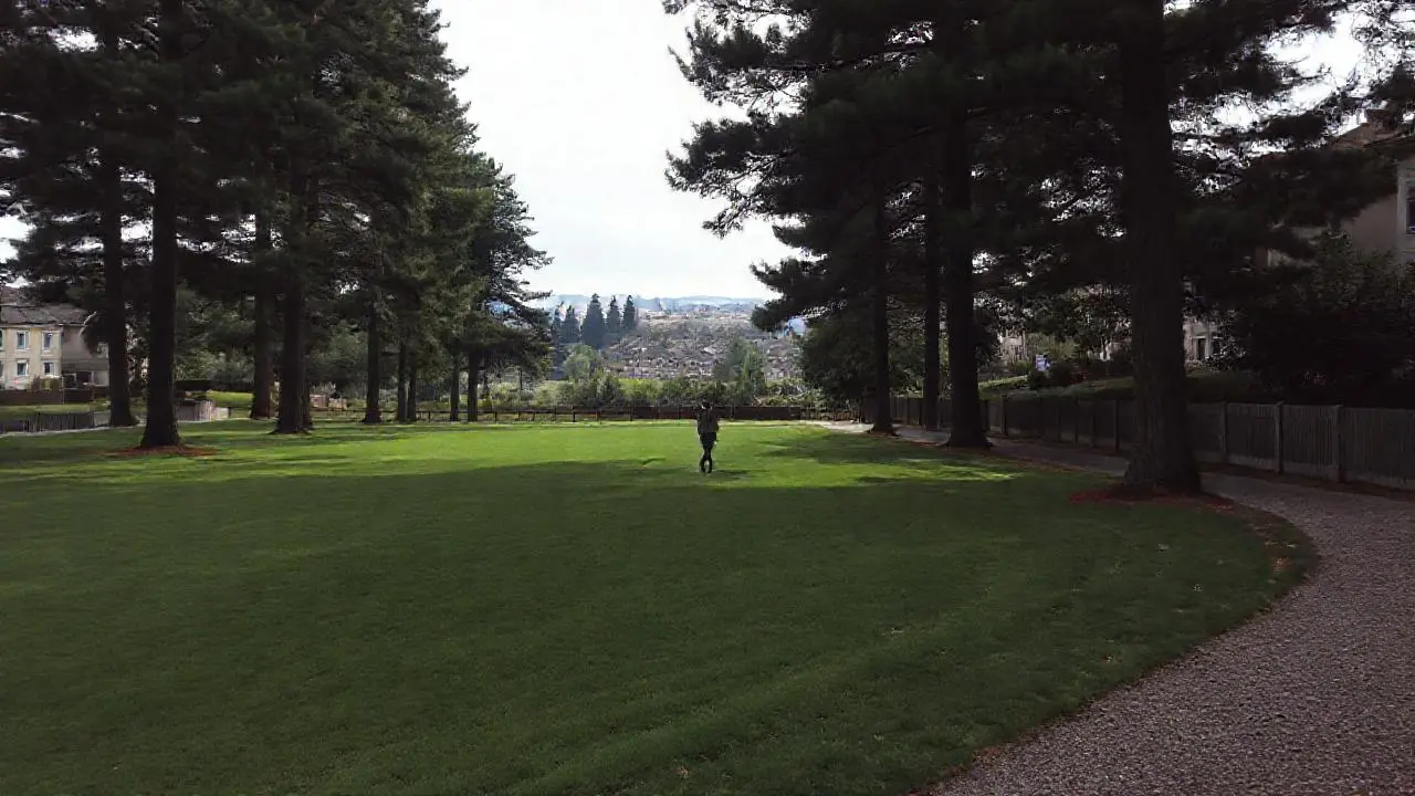 Tranquila escena residencial, amplia y serena