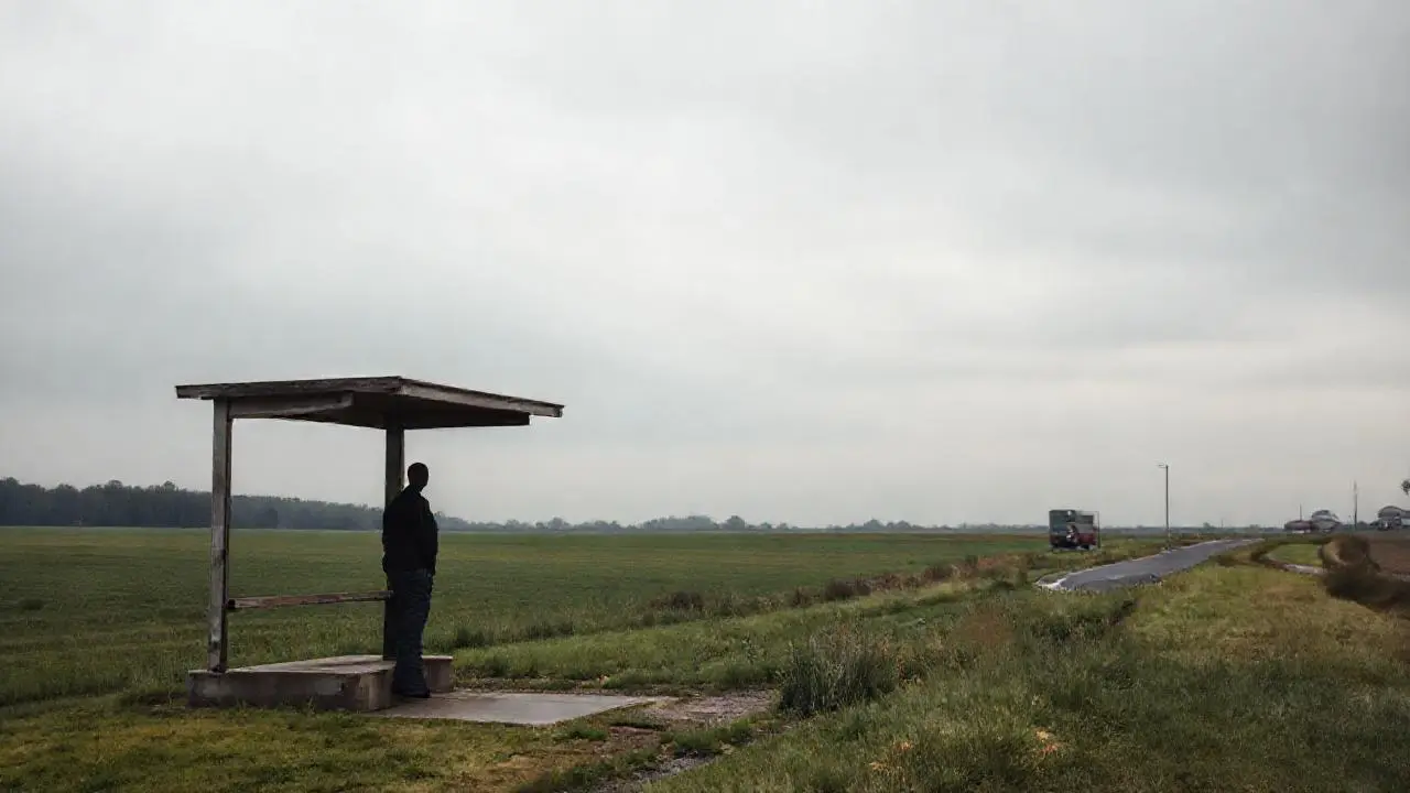 Campo solitario, calma y distancia
