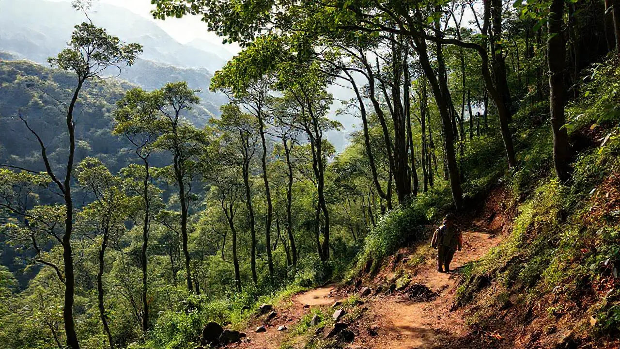 Paisaje boscoso, natural y ligeramente brumoso