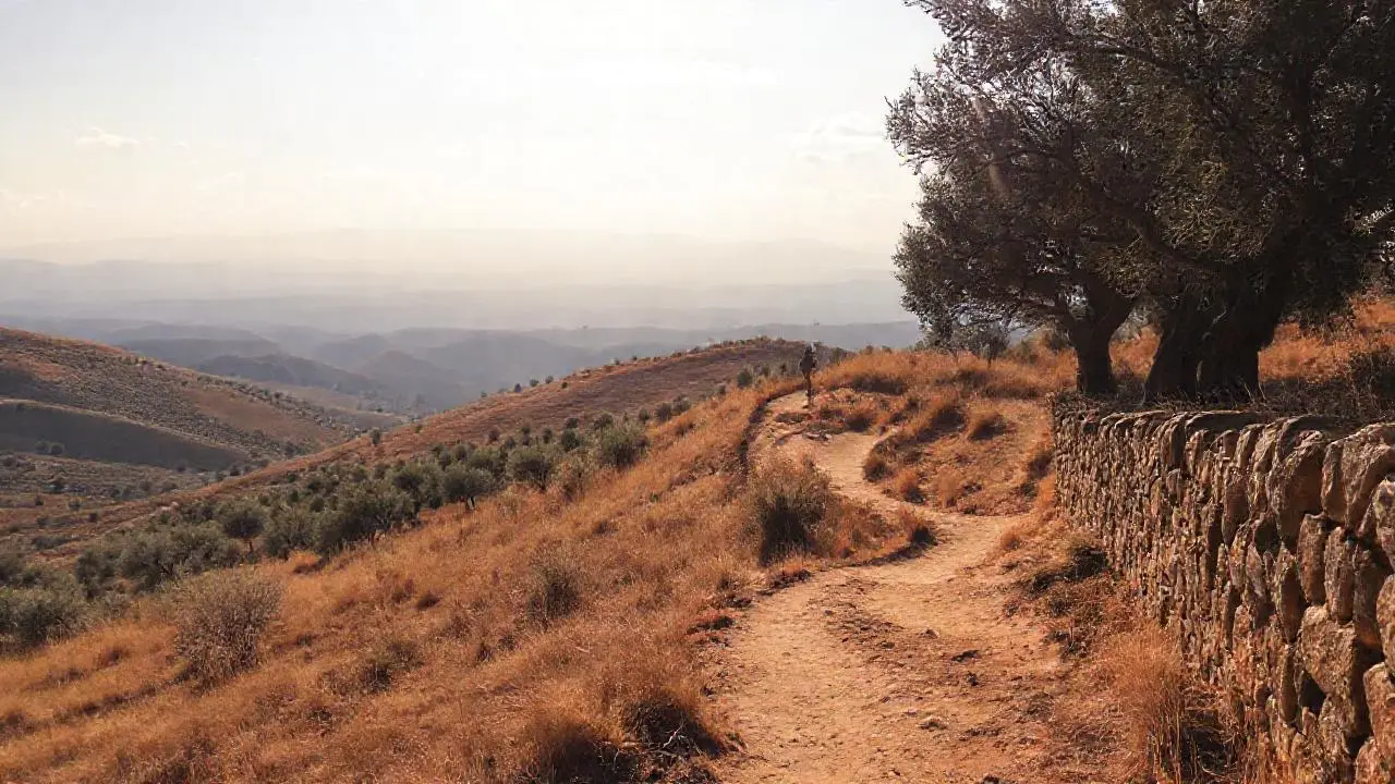 Paisaje rural, tranquilo y vasto