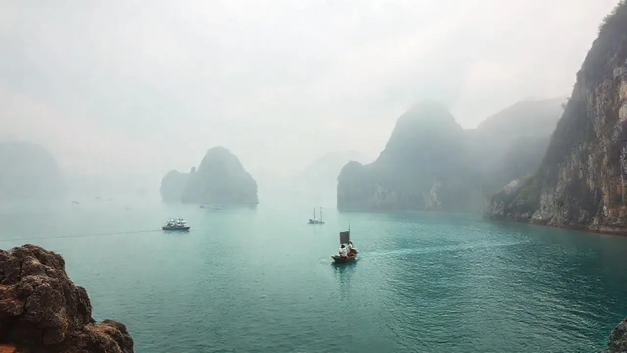Paisaje sereno, brumoso y acuático