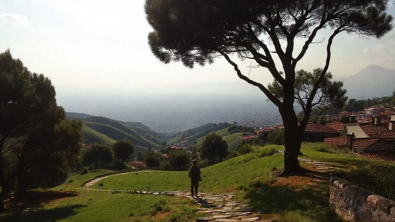 Paisaje sereno y amplio, atmósfera suave