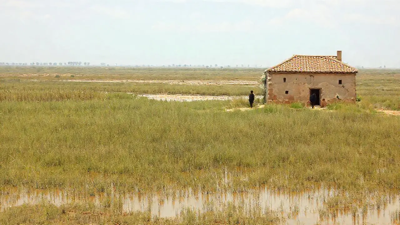Paisaje valenciano vasto, silencioso y melancólico
