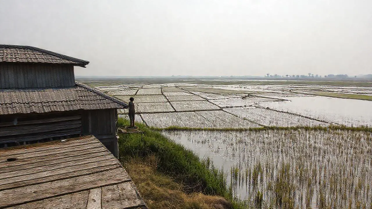 Paisaje tranquilo, vasto y natural