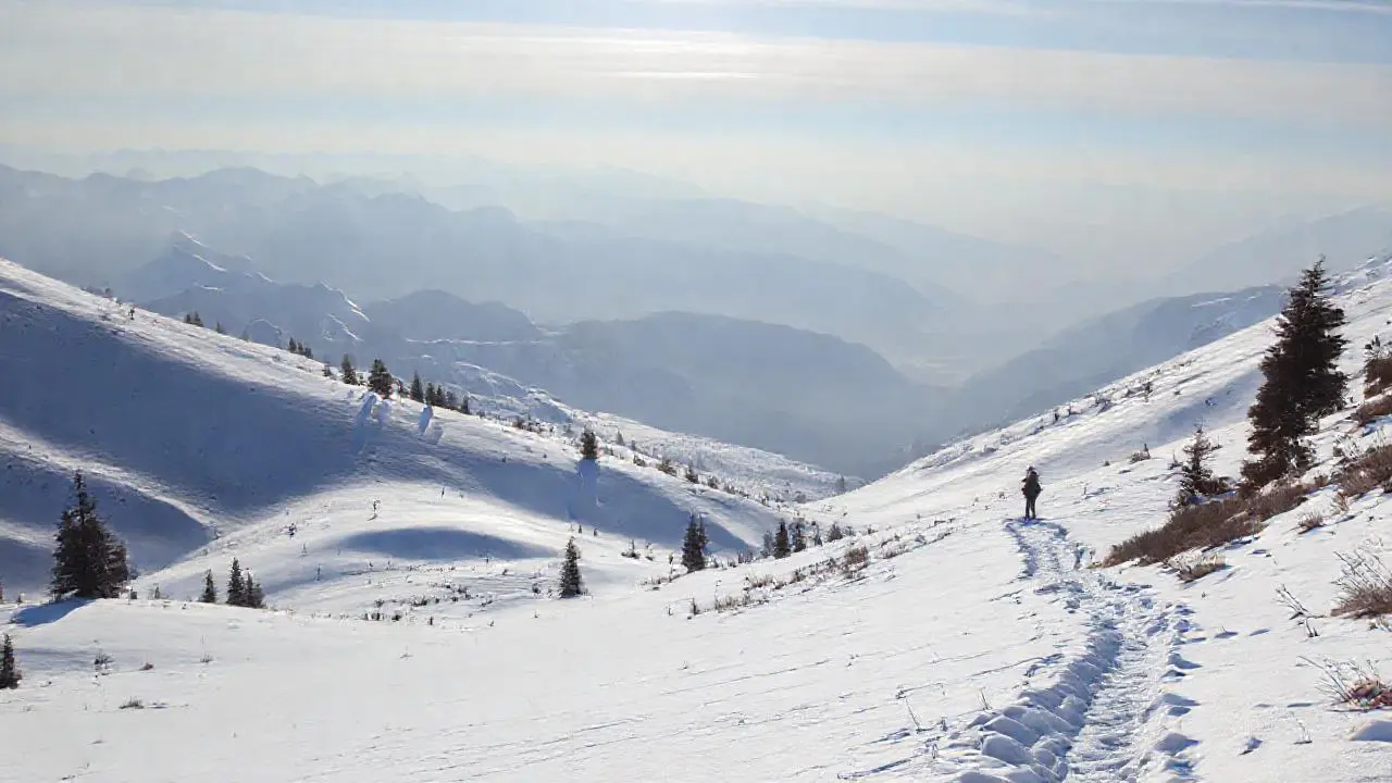 Paisaje nevado, vasto y sereno