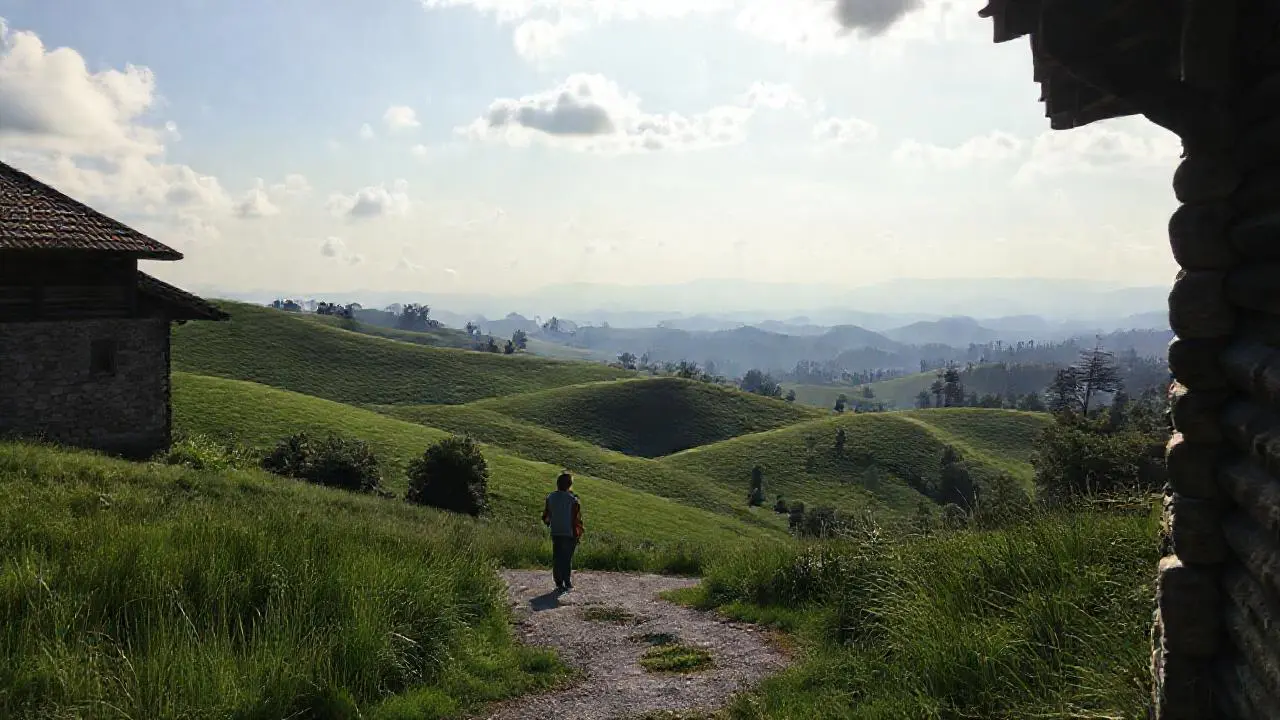 Paisaje sereno y natural, con profundidad