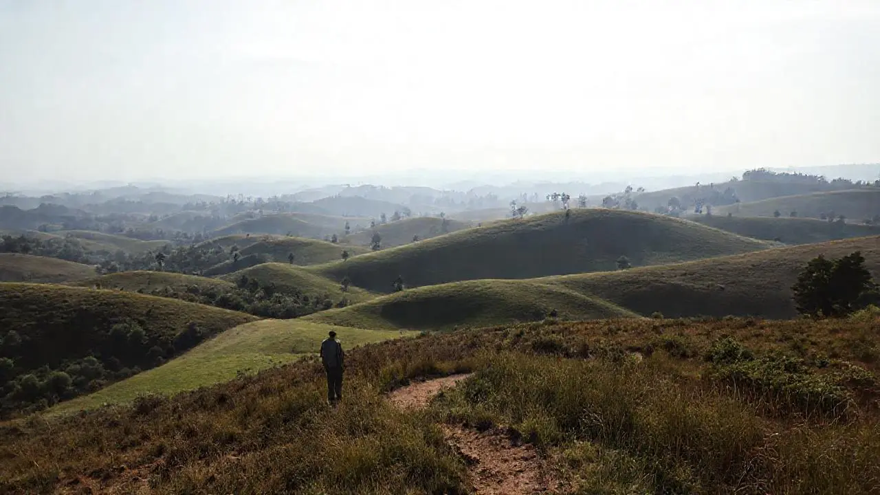 Paisaje tranquilo, vasto y natural