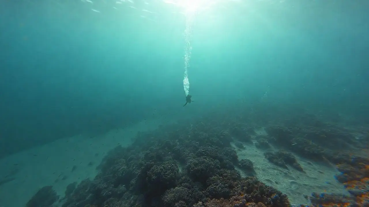 Arrecife extenso y profundo, luz natural