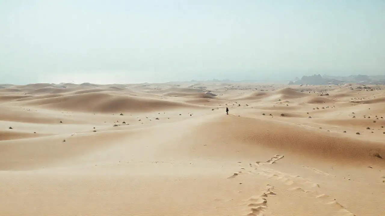 Desierto vasto, silencioso y árido