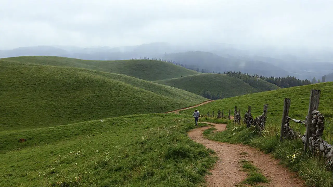 Paisaje sereno, natural y ligeramente difuso