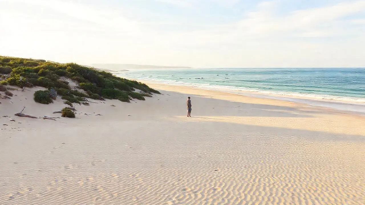 Playa tranquila bajo luz cálida y difusa