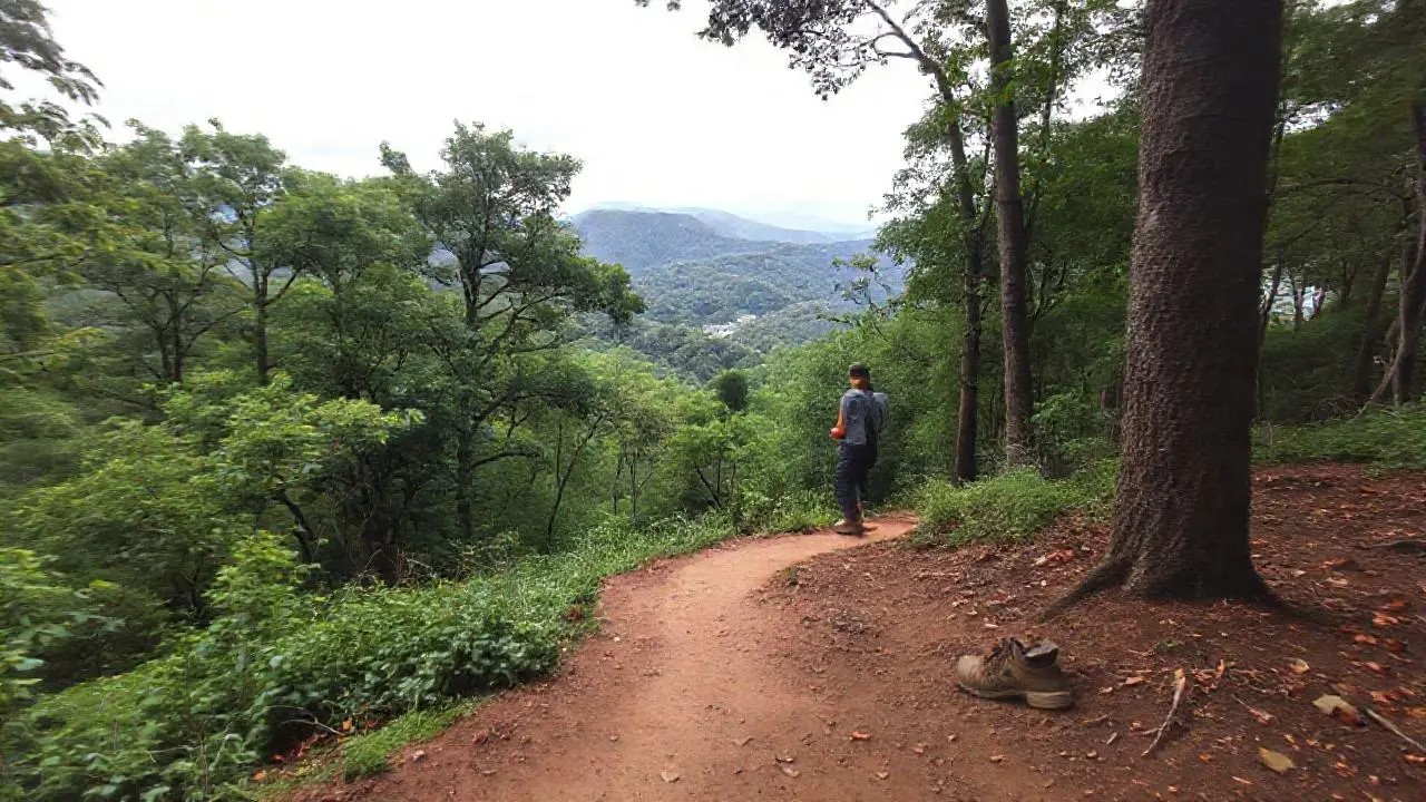Paz natural en un vasto paisaje verde
