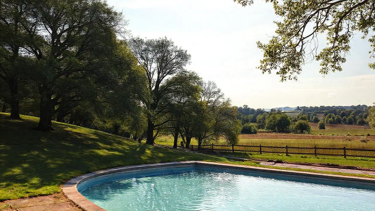 Paz natural, luz suave y espacio abierto