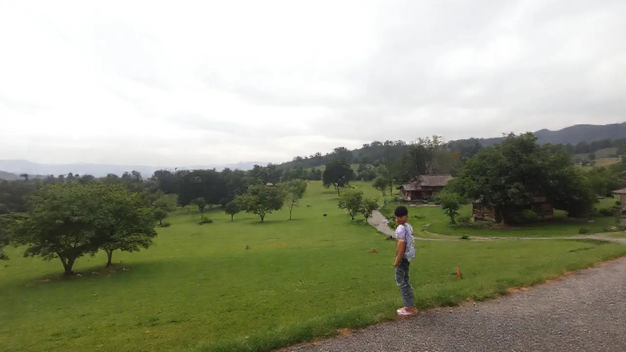 Paisaje sereno, natural y ligeramente difuso