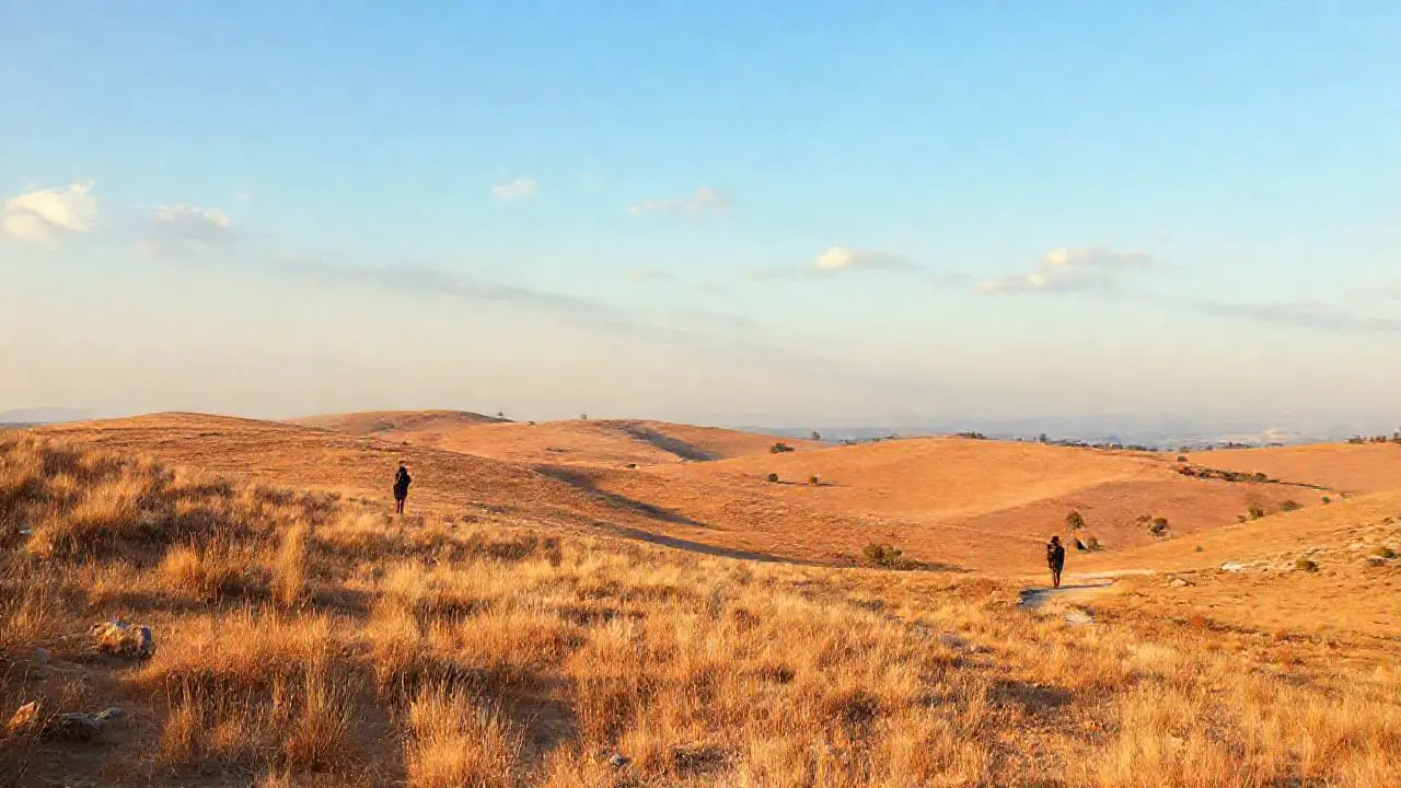 Paisaje vasto, sereno y solitario