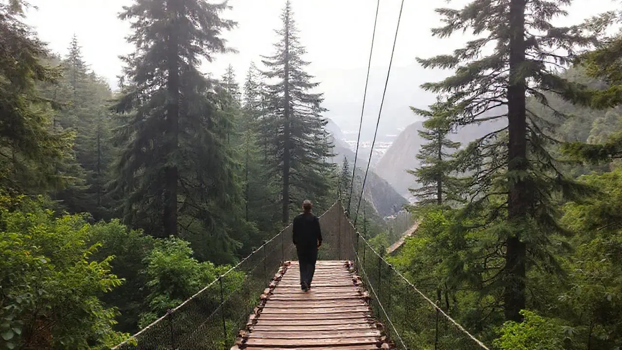 Bosque profundo, figura solitaria, vasto paisaje