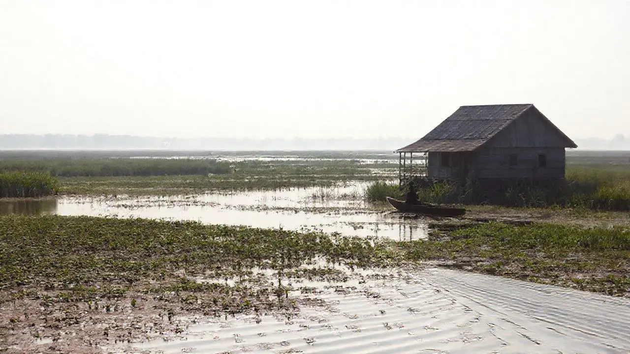 Paisaje sereno y natural, con calma palpable