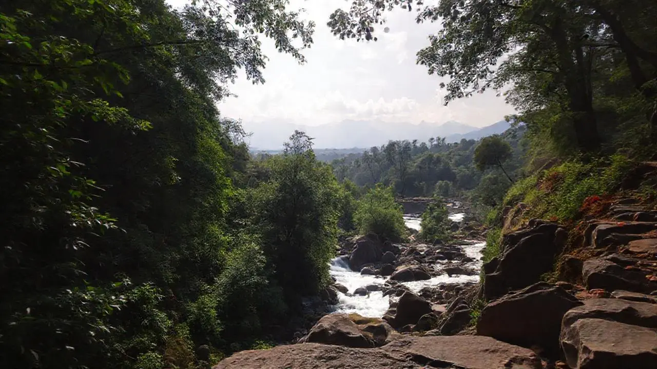 Paisaje natural sereno y difuminado