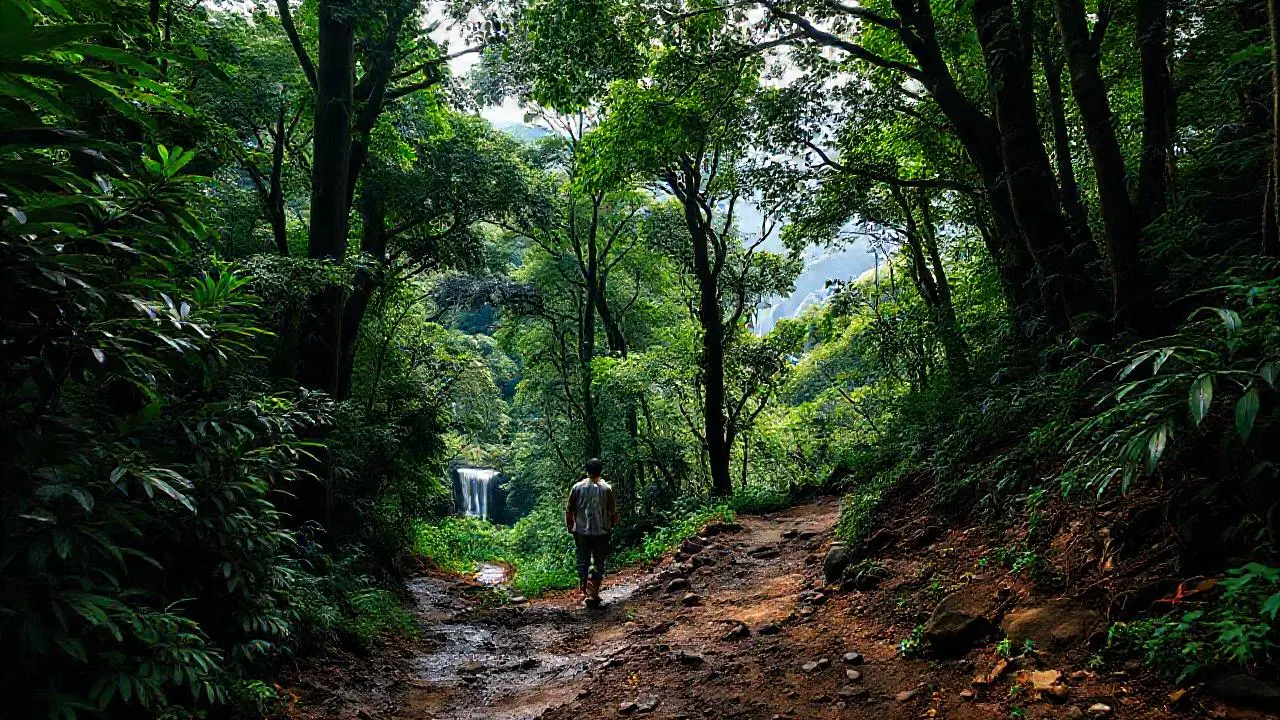 Selva exuberante, figura solitaria en calma