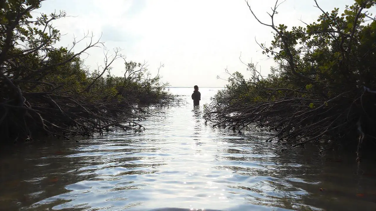 Calma natural, luz y quietud serena