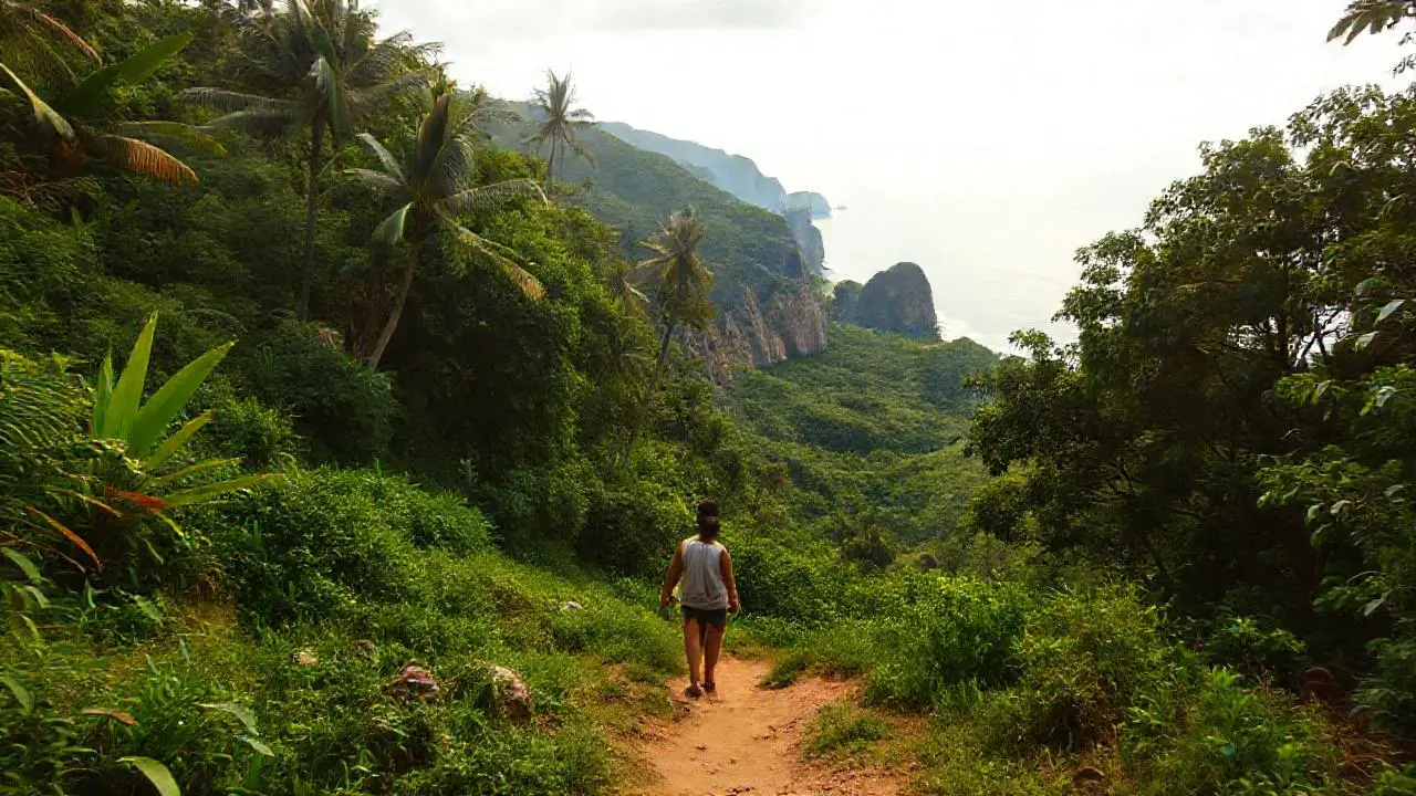Paisaje tropical sereno y distante