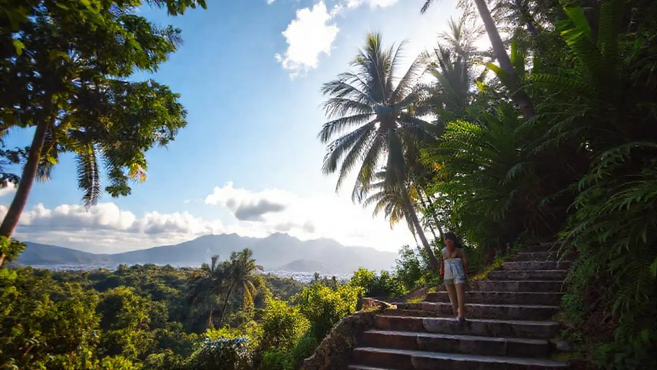 Un paisaje tropical sereno y natural