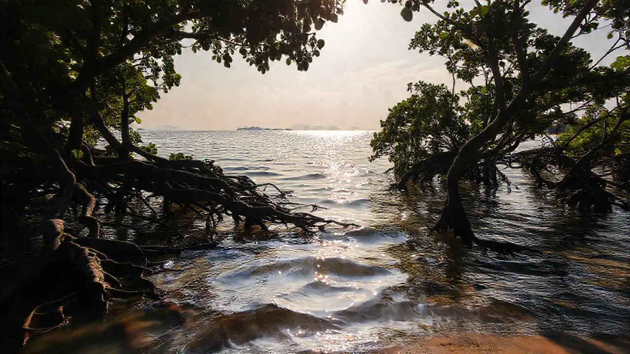 Paz natural en un paisaje acuático