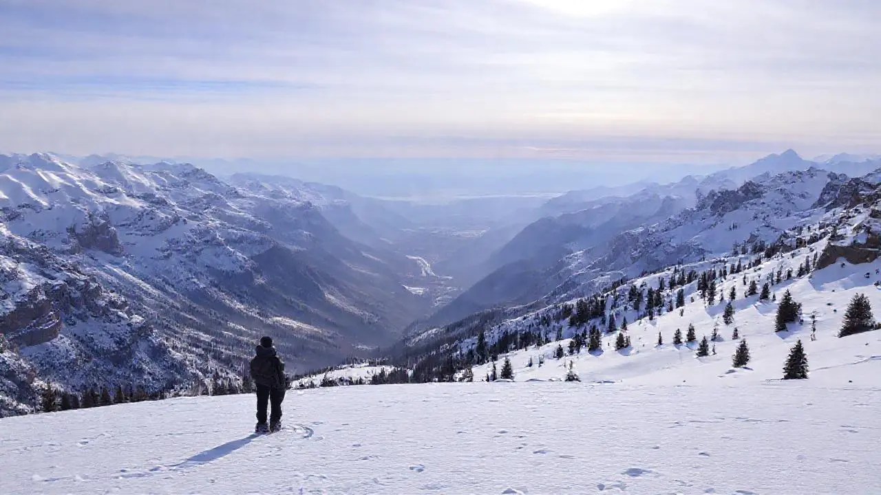 Paisaje invernal sereno y distante
