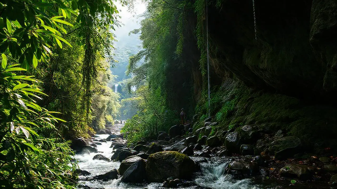 Selva exuberante y mística, llena de vida
