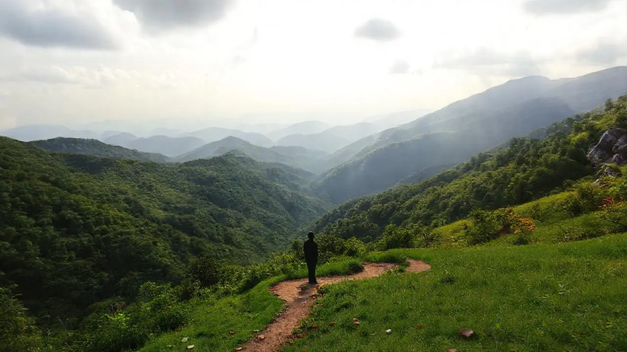 Paisaje extenso, tranquilo y natural
