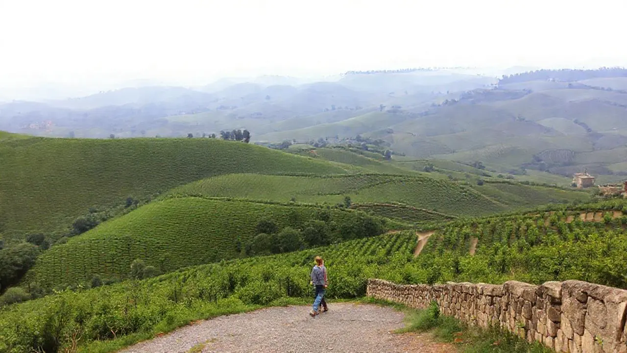 Paisaje rural, sereno y extenso