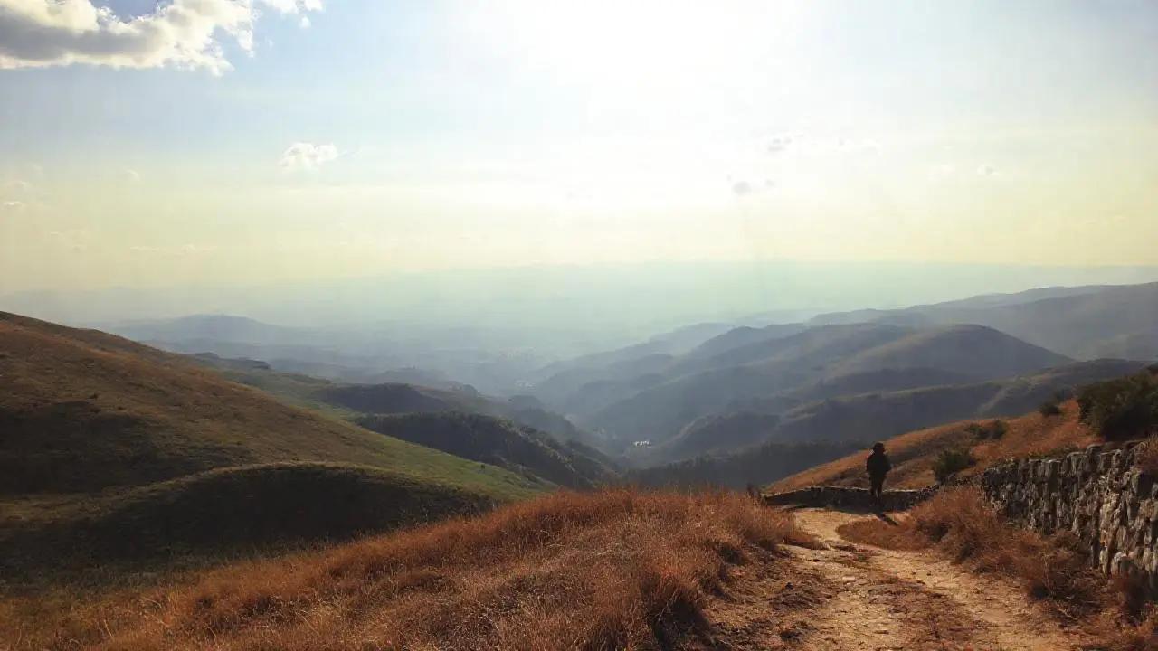 Paisaje sereno, vasto y natural