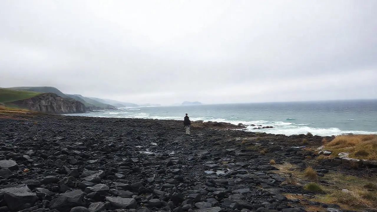 Paisaje costero tranquilo, vasto y natural