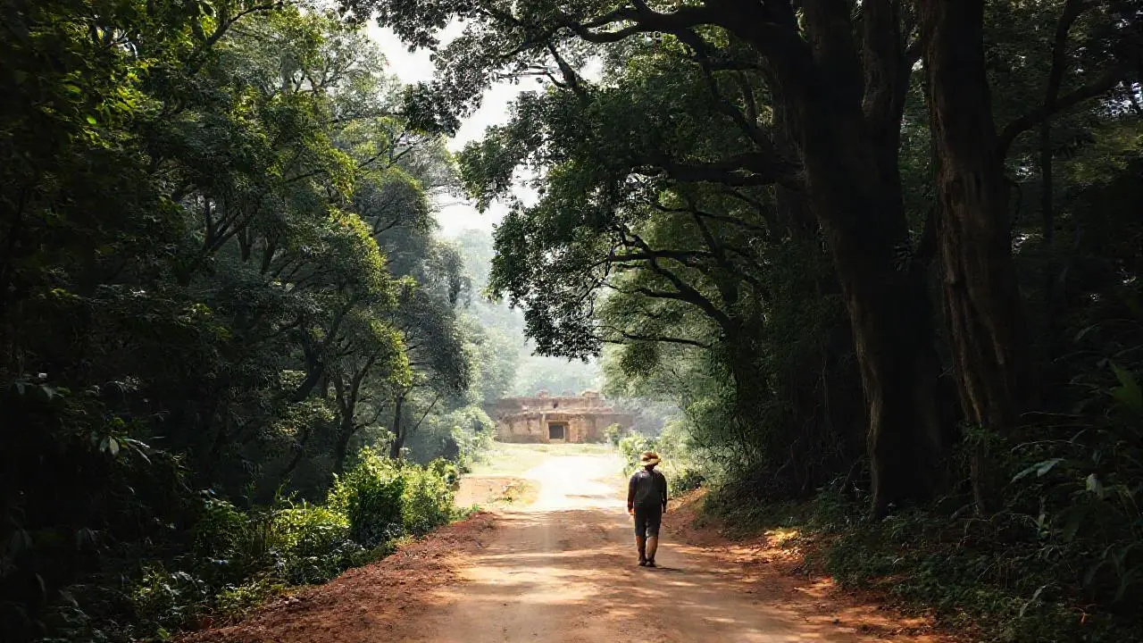 Selva profunda, camino, figura distante, naturaleza