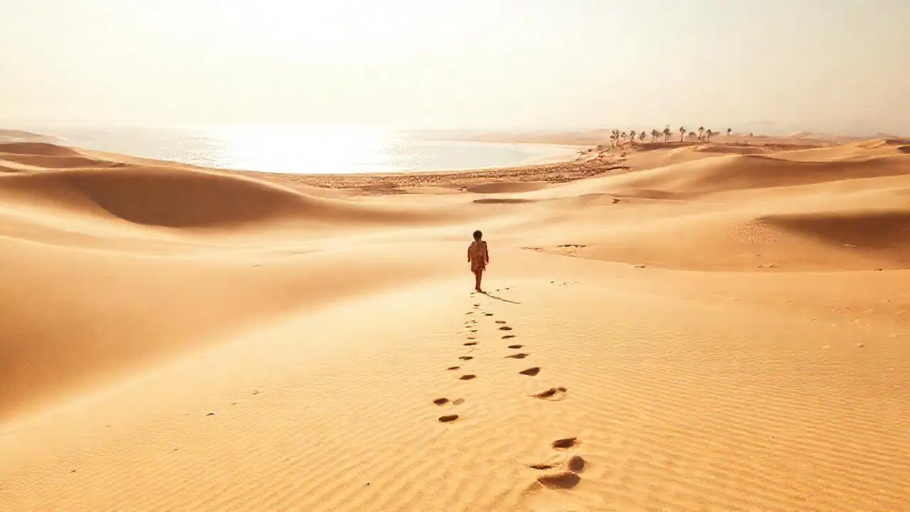 Un paisaje desértico amplio y soleado