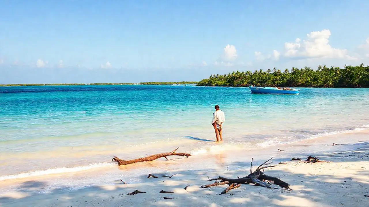 Paz serena en una playa tropical