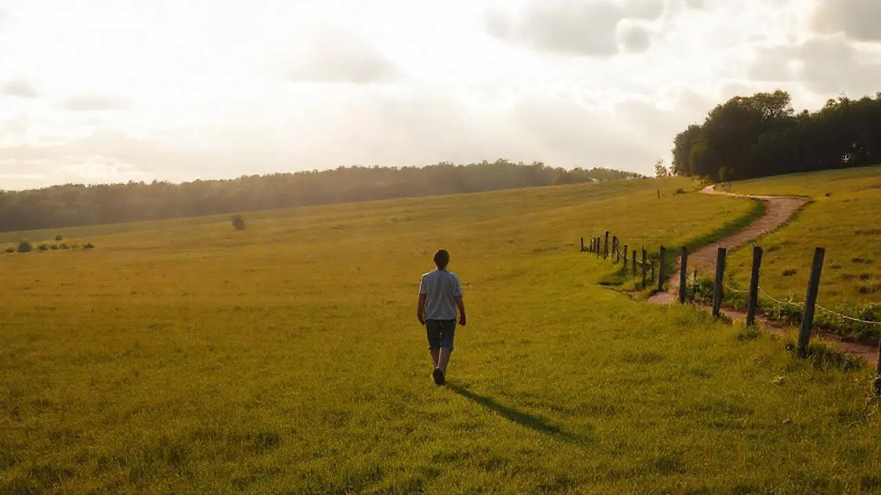 Campo rural tranquilo bajo luz suave