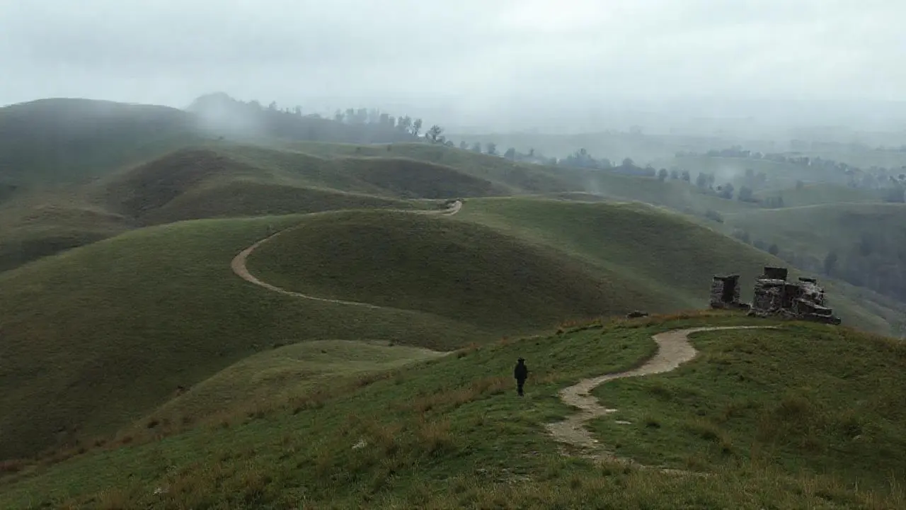 Paisaje natural tranquilo y ligeramente brumoso