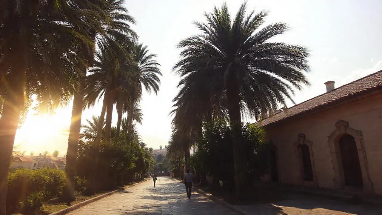 Escena soleada, serena y espaciosa