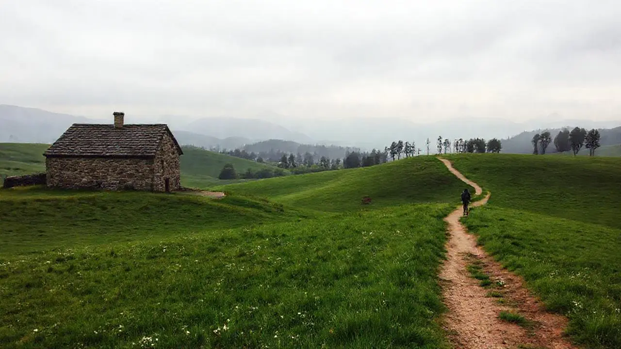 Paisaje rural sereno y natural