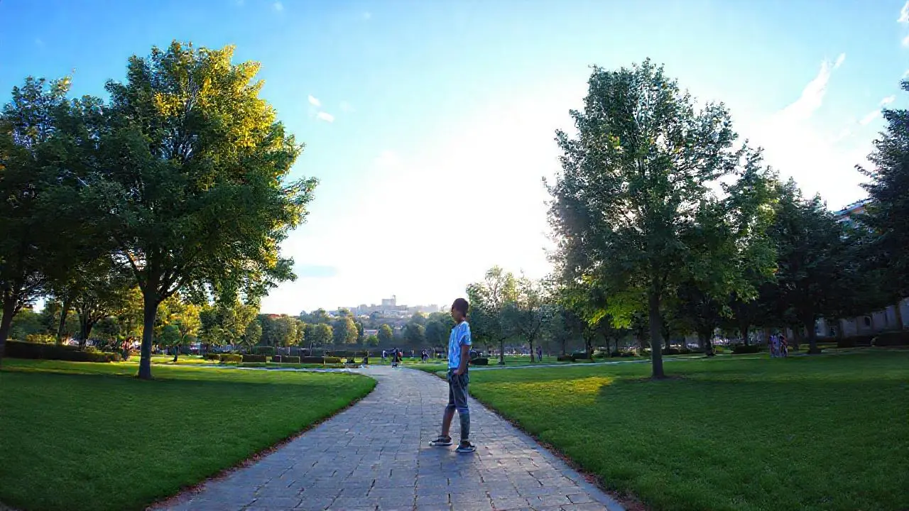 Escena natural, tranquila y realista