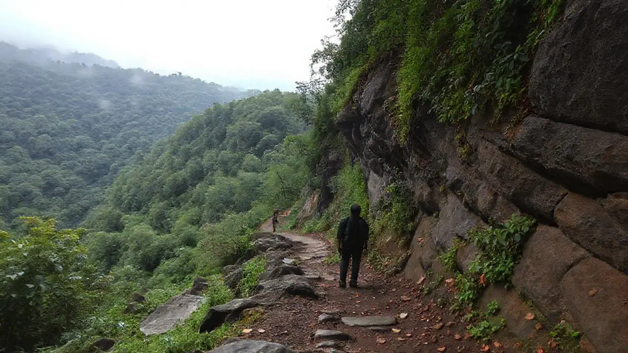 Paisaje natural, brumoso y sereno