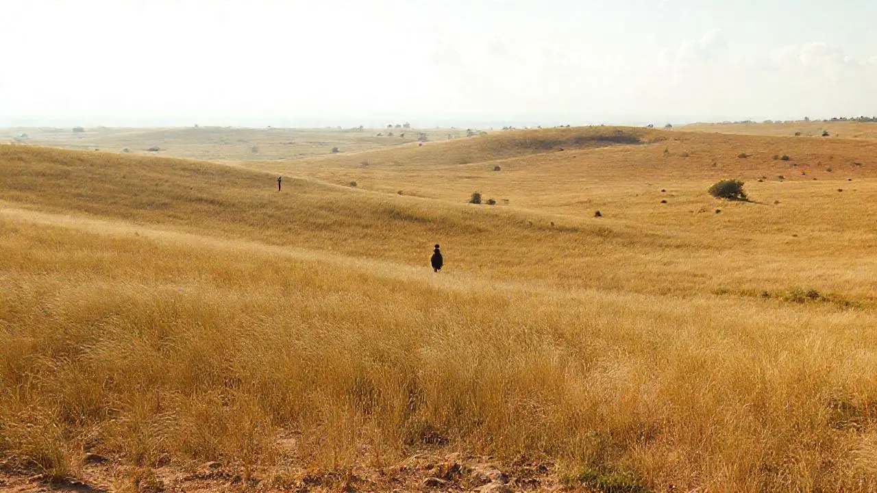 Paisaje vasto, sereno y silencioso