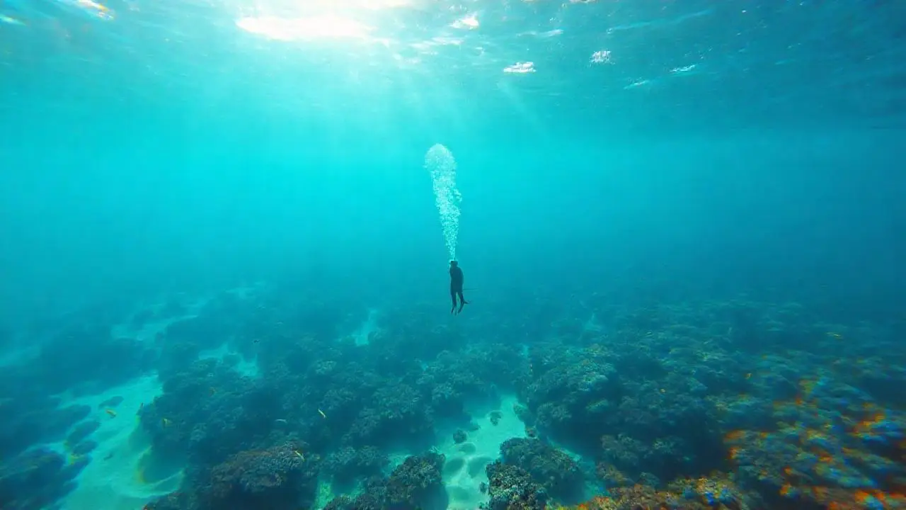 Un paisaje submarino vibrante y sereno