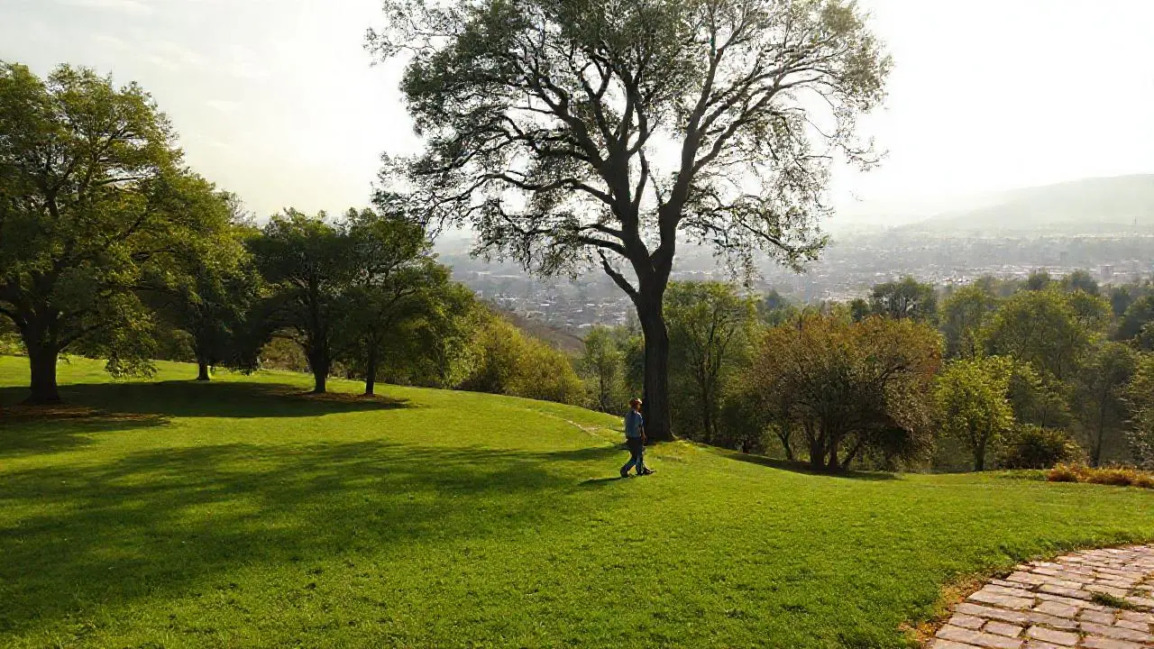Paisaje natural sereno y realista