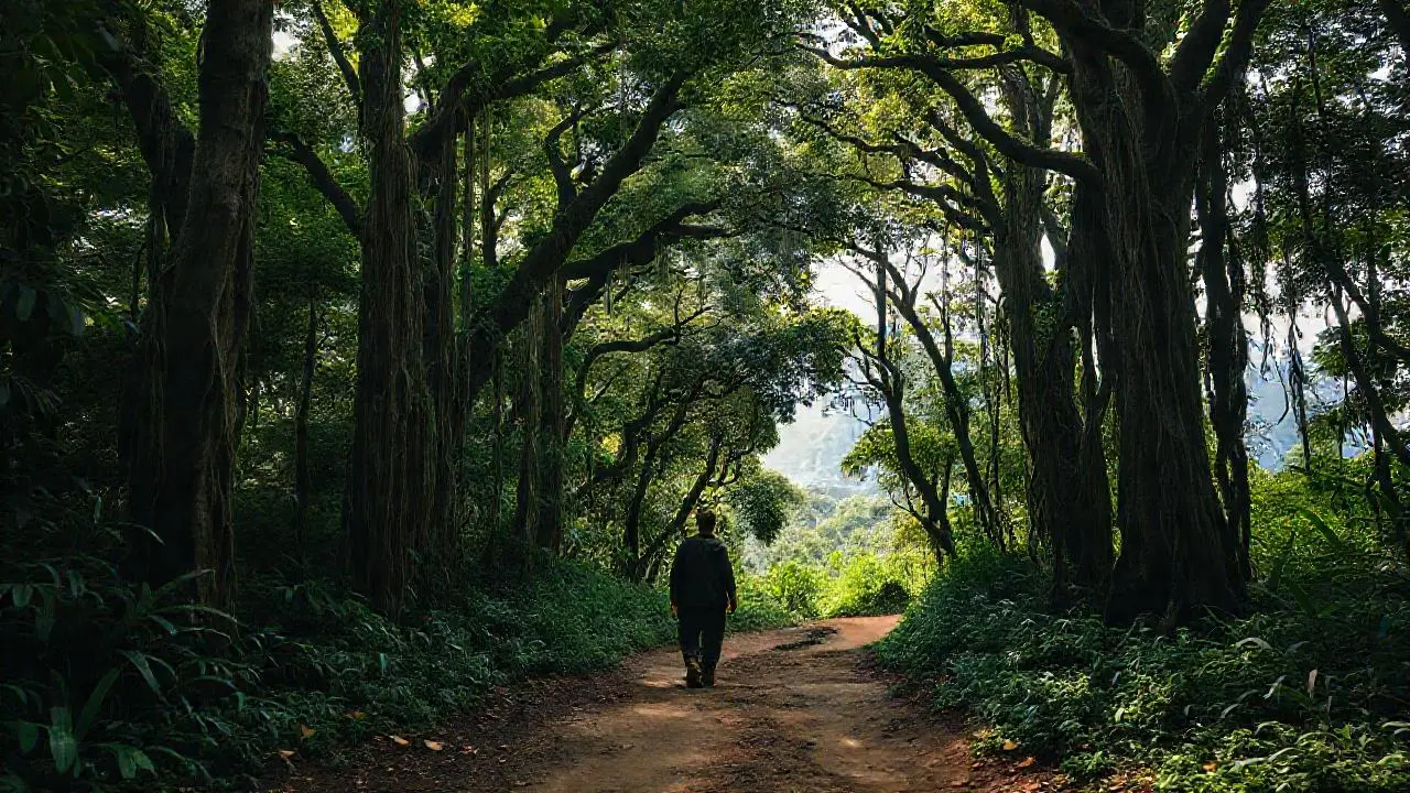 Selva densa, silenciosa y extensa
