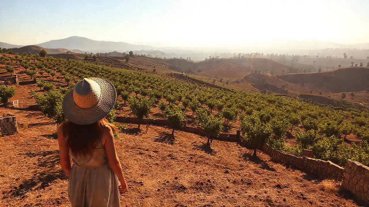 Paisaje agrícola antiguo, cálido y sereno
